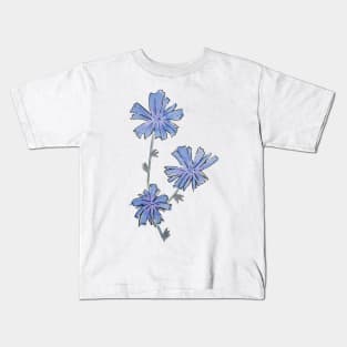 Chicory wildflower drawing Kids T-Shirt